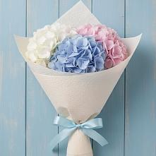Букет цветов из:  Гортензия в Чигораке
