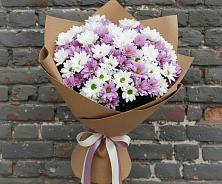 Букет цветов из:  Хризантемы #REPLACE_PRED# Чигораке