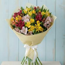 Букет цветов из:  Альстромерии в Чигораке