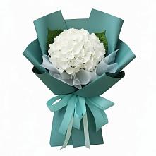Букет цветов из:  Гортензия #REPLACE_PRED# Чигораке